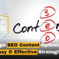 On-Page SEO Content Optimization: Easy & Effective Strategies
